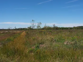 Signal de Botrange (België)